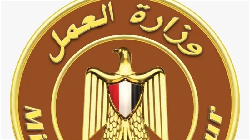 10 خدمات مهمة يقدمها صندوق الخدمات للعاملين.. تعرف عليها