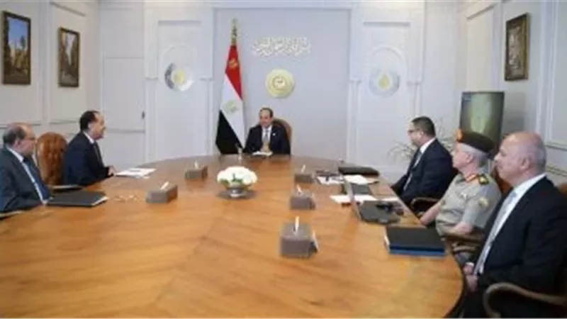 الرئيس السيسي يطلع على مستجدات المرحلة العاشرة من بيت الوطن للمصريين بالخارج 