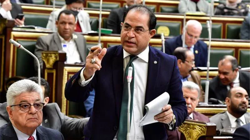 سليمان وهدان يعلن دعمه لبيان الخارجية المصرية بشأن تطورات الأوضاع في غزة
