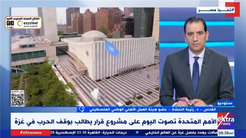 رتيبة النتشة: الأمم المتحدة لم تنجح في استصدار أي قرار قابل للتنفيذ