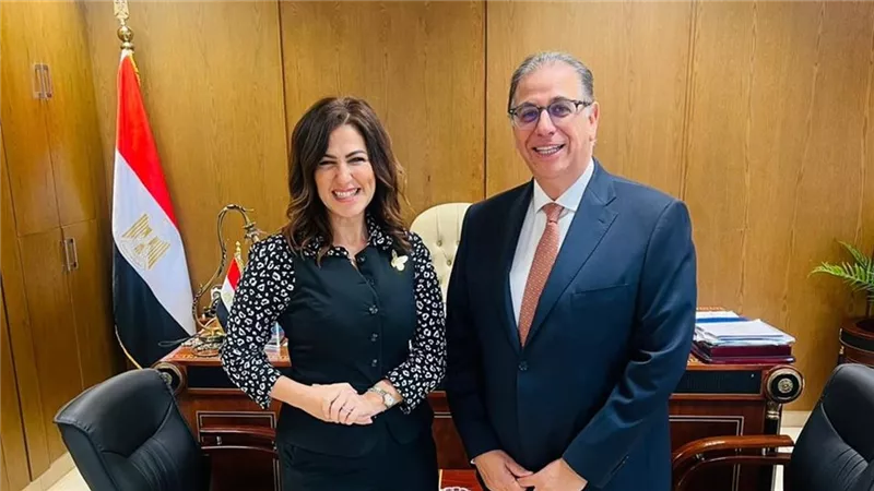 دينا عبد الكريم تلتقي السفير نبيل حبشي لتدشين قواعد الجبهة الوطنية بالخارج 