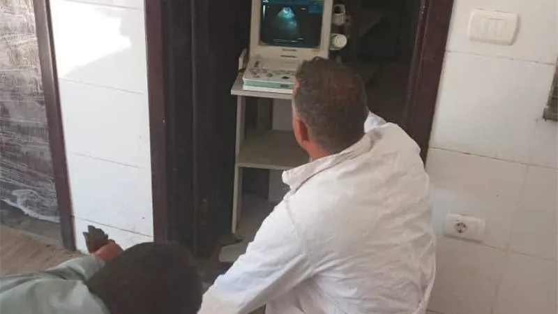 ضمن مشروع تحسين وراثي.. بيطري الشرقية يُجري مسحًا تناسليًا لـ5034 رأسا