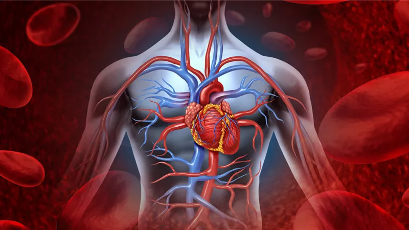 هبوط الدورة الدموية المفاجئ: الأسباب الأكثر شيوعًا وطرق الوقاية الفعالة