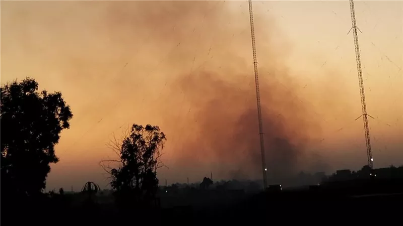 حريق في أرض فضاء بجوار محطة إرسال بطرة في طلخا بالدقهلية |صور