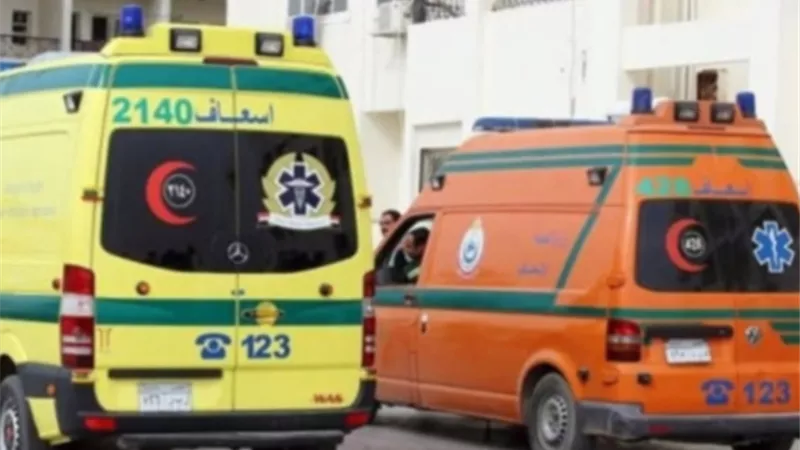 في ظروف غامضة.. زوج يذبـ ـح زوجته بقرية معنيا في البحيرة