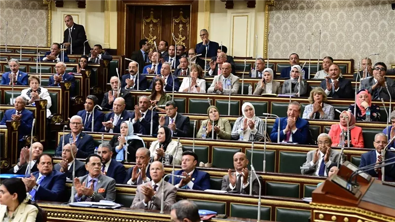النائب أحمد فرغلى يعلن رفضه للموزانة الجديدة.. معاش تكافل وكرامة دولار يوميا 