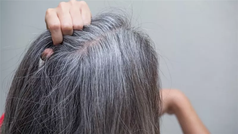 تحذيرات طبية من خطورة نزع الشعر الأبيض.. تفاصيل         