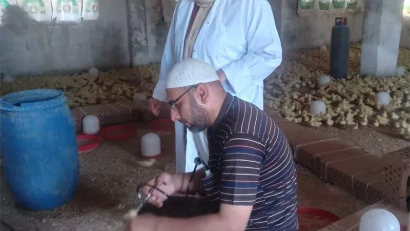 حملات ميدانية لدعم صحة الثروة الداجنة وتعزيز منظومة الأمن الحيوي في السويس