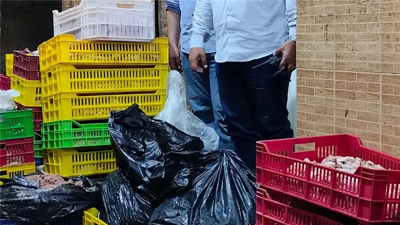 ضبط 750 كيلو لحوم ودواجن غير صالحة بحي شرق شبين الكوم بالمنوفية