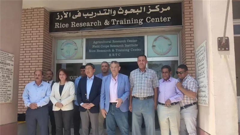 للإطلاع على تجارب زراعة الأرز.. 