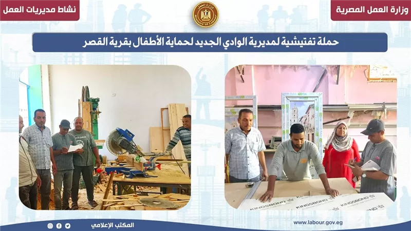 مديرية عمل الوادي الجديد تنظم حملة تفتيشية لحماية الأطفال بقرية القصر