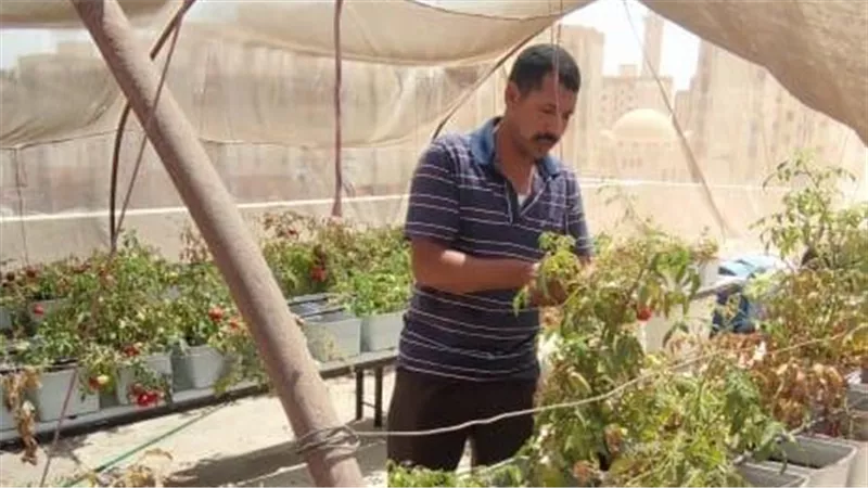 محافظة القاهرة تبدأ في زراعة الأسطح: بدأنا بـ3 عقارات في الأسمرات   