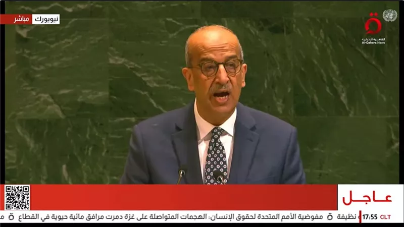 أحزاب تشيد بكلمة مندوب مصر بالأمم المتحدة: «صرخة ضمير لنصرة فلسطين»