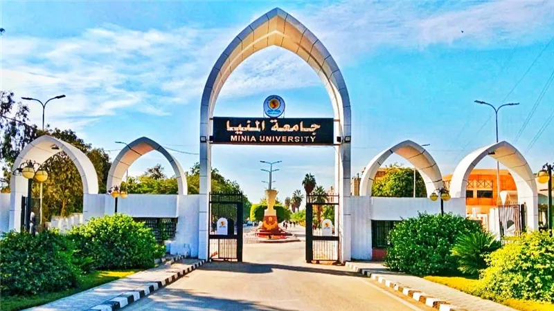بدء الدراسة ببرنامجي الذكاء الاصطناعي وعلوم البيانات بجامعة المنيا