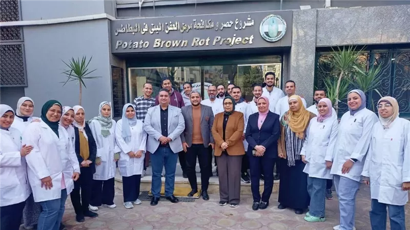 الزراعة تعلن فحص أكثر من 1.3 مليون طن بطاطس مائدة معدة للتصدير إلى الخارج