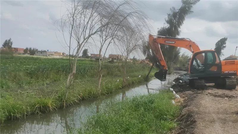 وزارة الزراعة: إزالة 71 حالة تعدي وتنفيذ 10 أنشطة إرشادية متنوعة