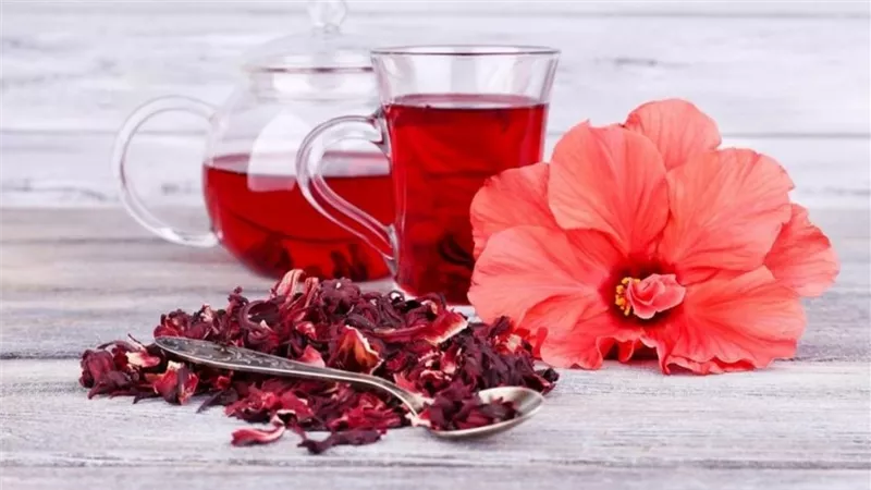 هل يساعد شاي الكركديه في علاج النقرس؟ إليك ما تقوله الدراسات