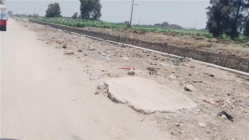 طريق جمجرة الشقر بالقليوبية.. إهمال يهدد الأرواح ويعرقل تصدير المحاصيل