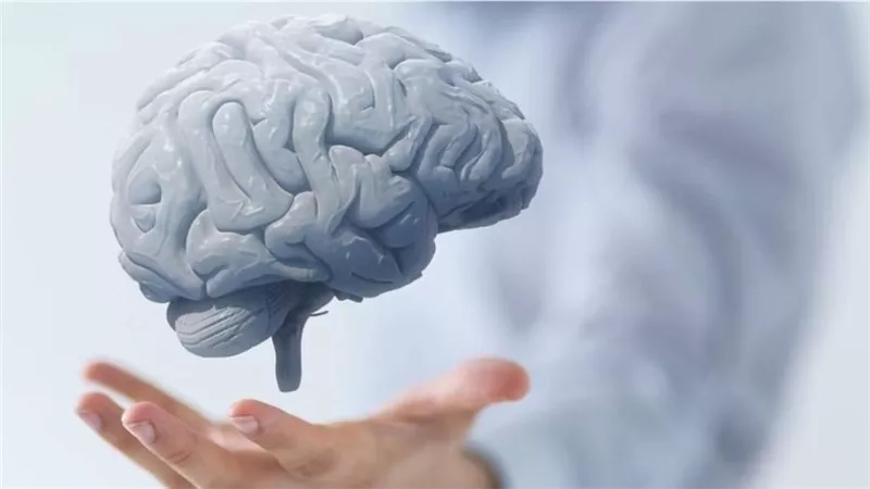 دراسة تحذر: ساعات العمل الطويلة تضر الدماغ والتركيز        