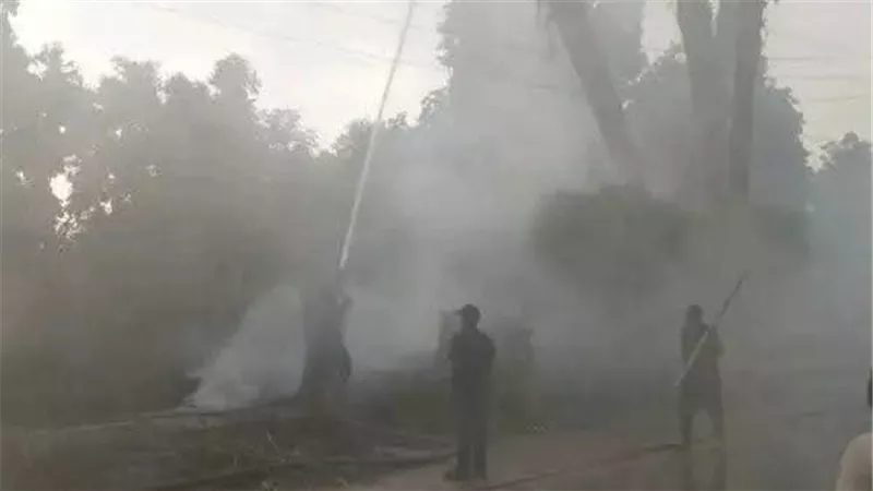 ننشر الصور الأولى لحريق اندلع في حشائش وأشجار أمام محكمة الأقصر