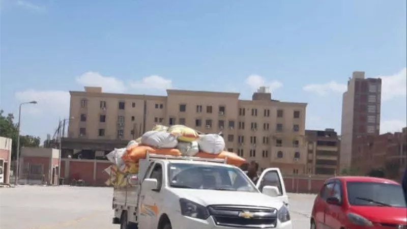 توريد أكثر من 598 ألف طن قمح منذ بدء الموسم إلى صوامع الشرقية 