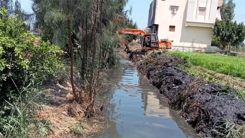 الاصلاح الزراعي يزيل 438 حالة تعدي في المهد ويواصل جهود الدعم الفني للمنتفعين 