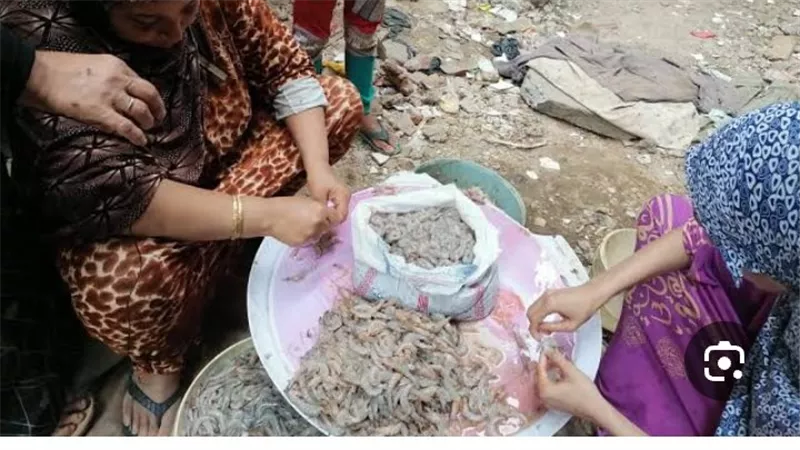 من مناشر الخشب لقشور الجمبري.. حكاية أم يوسف مع الشقاء بقرية أبو طبل بدمياط