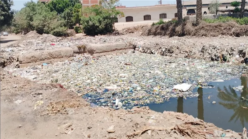 رفع  20 طن قمامة وتراكمات خلال حملات نظافة فى مدينة الأقصر