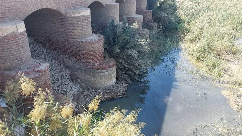 120 عامًا من التاريخ: قناطر الطليحات تواجه خطر الإهمال والتلوث