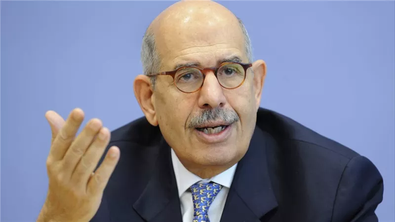 البرادعي: ما يحدث في المنطقة «جرس إنذار» لا يمكن تجاهله
