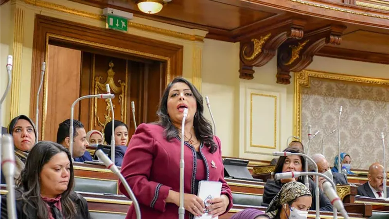 النائبة مرثا محروس: التنسيقية قدمت نموذجًا محترفًا  في العمل السياسي  