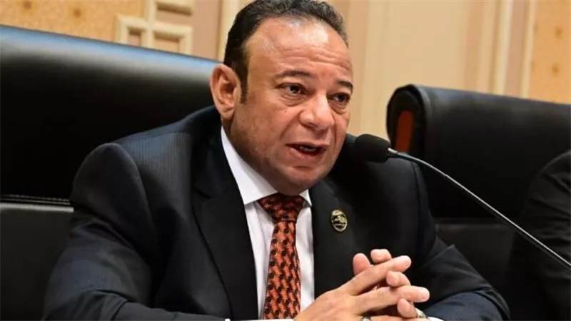 النائب محمد لبيب: ثورة 30 يونيو نقطة تحوّل صنعت مستقبل مصر ونهضتها