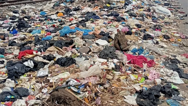 الحشرات بتهاجمنا بالبيوت.. أهالي قرية رسلان بالبحيرة يستغيثون من أكوام القمامة