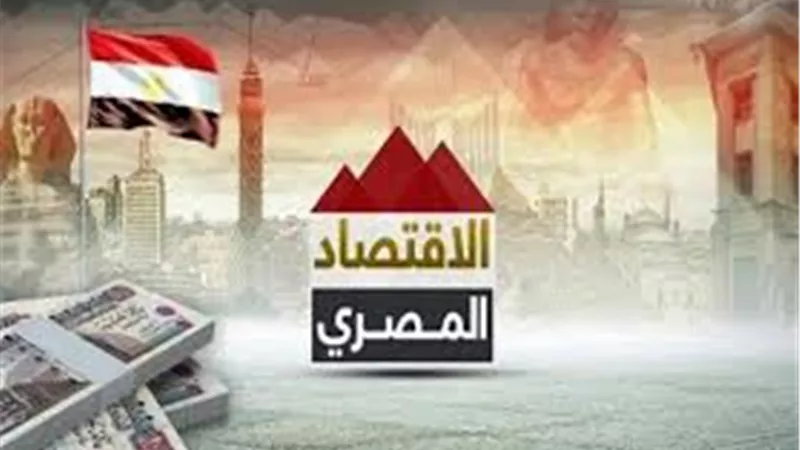 اقتصاد: مصر قادرة على إدارة أزمتها الاقتصادية دون الاعتماد على صندوق النقد