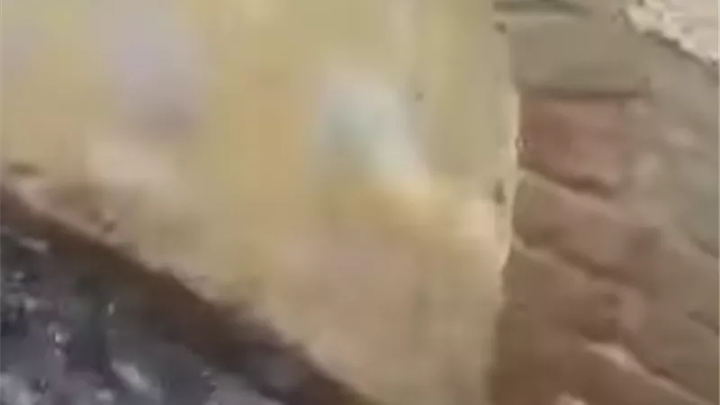 من الإكرام إلى الإهمال.. مأساة حقيقية تعيشها مقابر عمرو بن العاص بدمياط