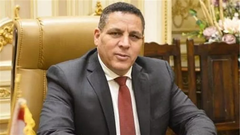 برلماني يدين دعوات التجمهر أمام السفارات.. ويؤكد: مصر تقود تحركات حقيقية