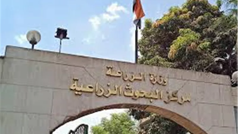 تأخر الرواتب يثير غضب العاملين بمركز البحوث الزراعية: 