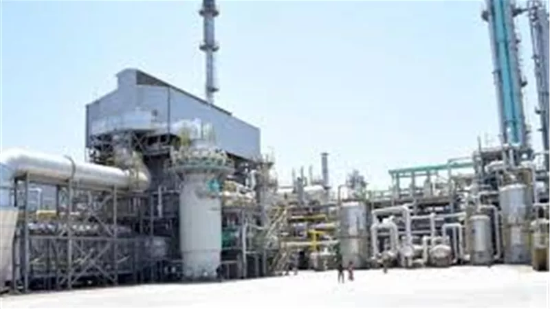 المجلس التصديري: تراجع الإنتاج أثر على حجم الطلبيات التصدرية في الفترة الأخيرة
