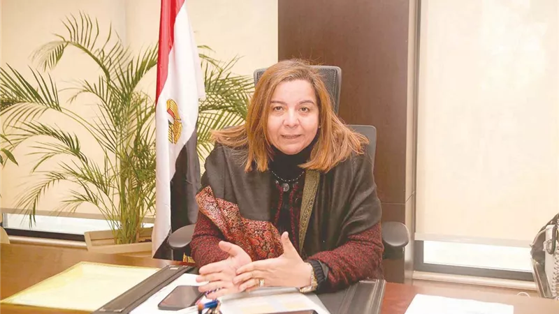مي عبد الحميد: مشروعات الإسكان الاجتماعي استثمار استراتيجي في جودة الحياة