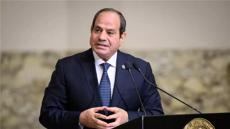 الرئيس السيسي يوجه الحكومة بزيادة التعويضات في حادث طريق أشمون بشكل فوري