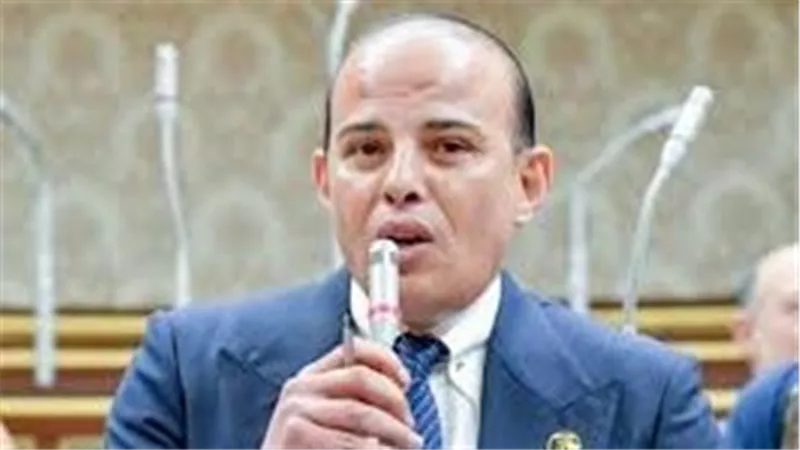 برلماني: مصر ماضية فى جهودها الدؤوبة من أجل رفع المعاناة عن الشعب الفلسطيني