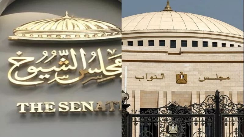 حزب الجيل : التواصل الجماهيري يعتبر البوصلة الحقيقية للأحزاب السياسية في مصر