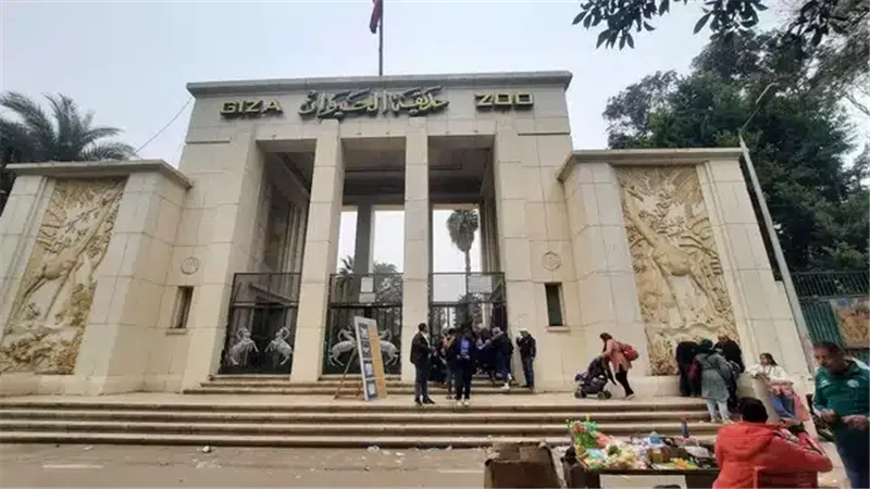 بشرى سارة من مدير حديقة الحيوان: الافتتاح نهاية العام طبقًا للمعايير الدولية