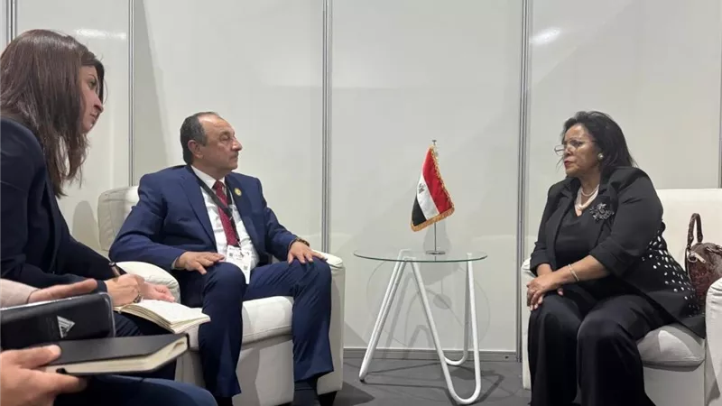 وزير قطاع الأعمال: مبادرات لتفعيل الشراكة المصرية الإفريقية بالبنية التحتية