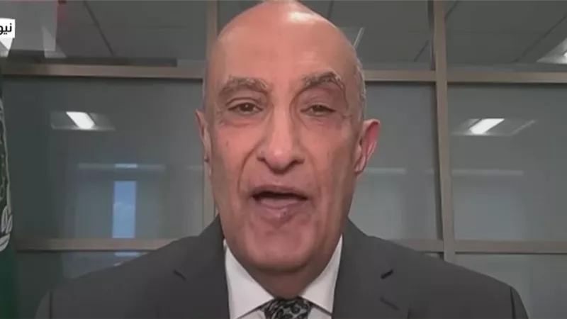 ماجد عبد الفتاح: الأمم المتحدة تمر بأسوأ مراحلها بسبب الصراعات 