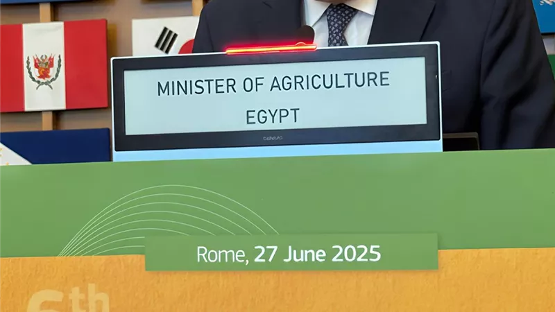 وزير الزراعة يدعو لتنفيذ الشراكة الأفريقية الأوروبية لتعزيز الأمن الغذائى 