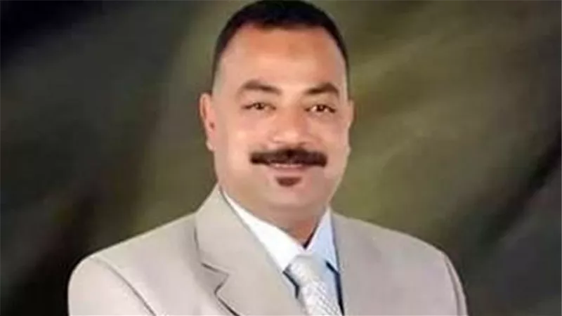 النائب علي عبدالونيس: مصر تستعيد قرارها في 30 يونيو