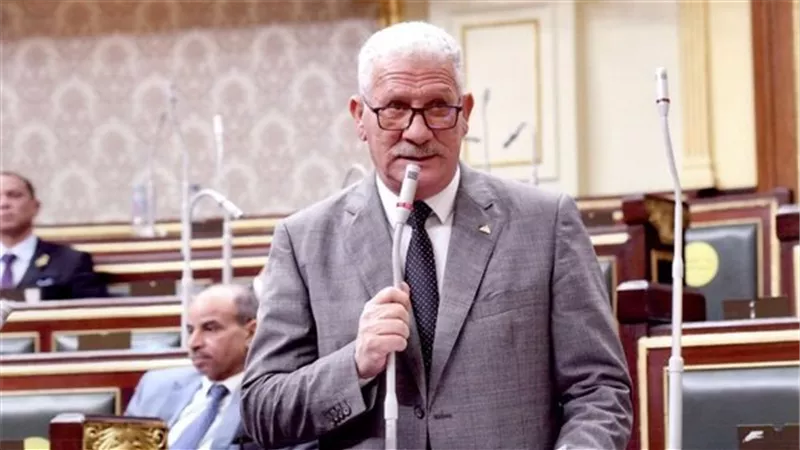 برلماني: الصناعة الطريق الأقصر لتحقيق التنمية وزيادة قوة الاقتصاد الوطني