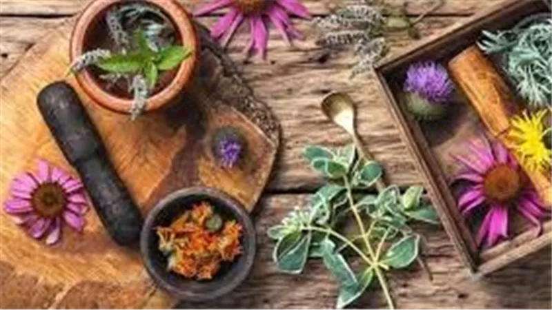 الأعشاب الطبيعية.. سرّ نوم هادئ وصحي بلا أرق                    