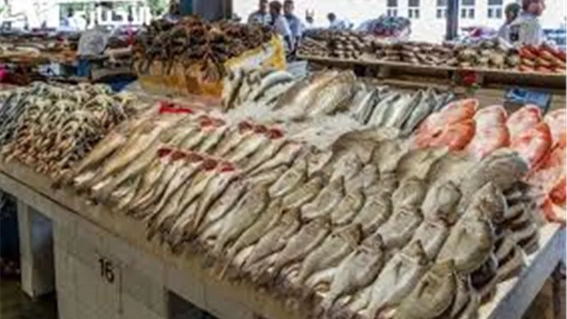 استقرار اسعار الاسماك فى سوق العبور والبلطى يسجل 79جنيه للكيلو 